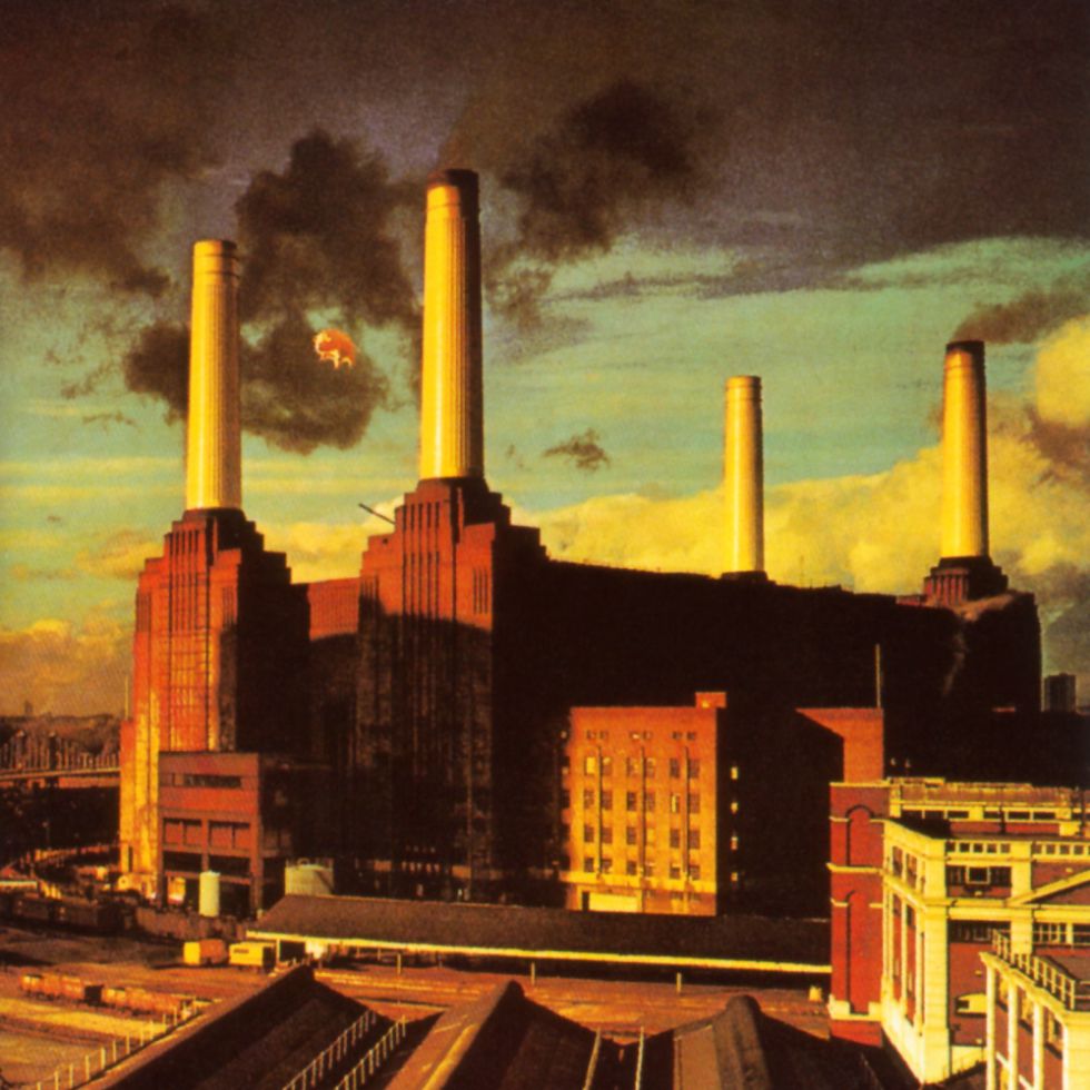 Pink Floyd–animals