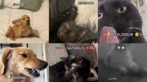 imagen de La gente está compartiendo fotos malditas de sus mascotas con la sinfonía satánica Year Zero de Ghost e Internet no puede mirar hacia otro lado.